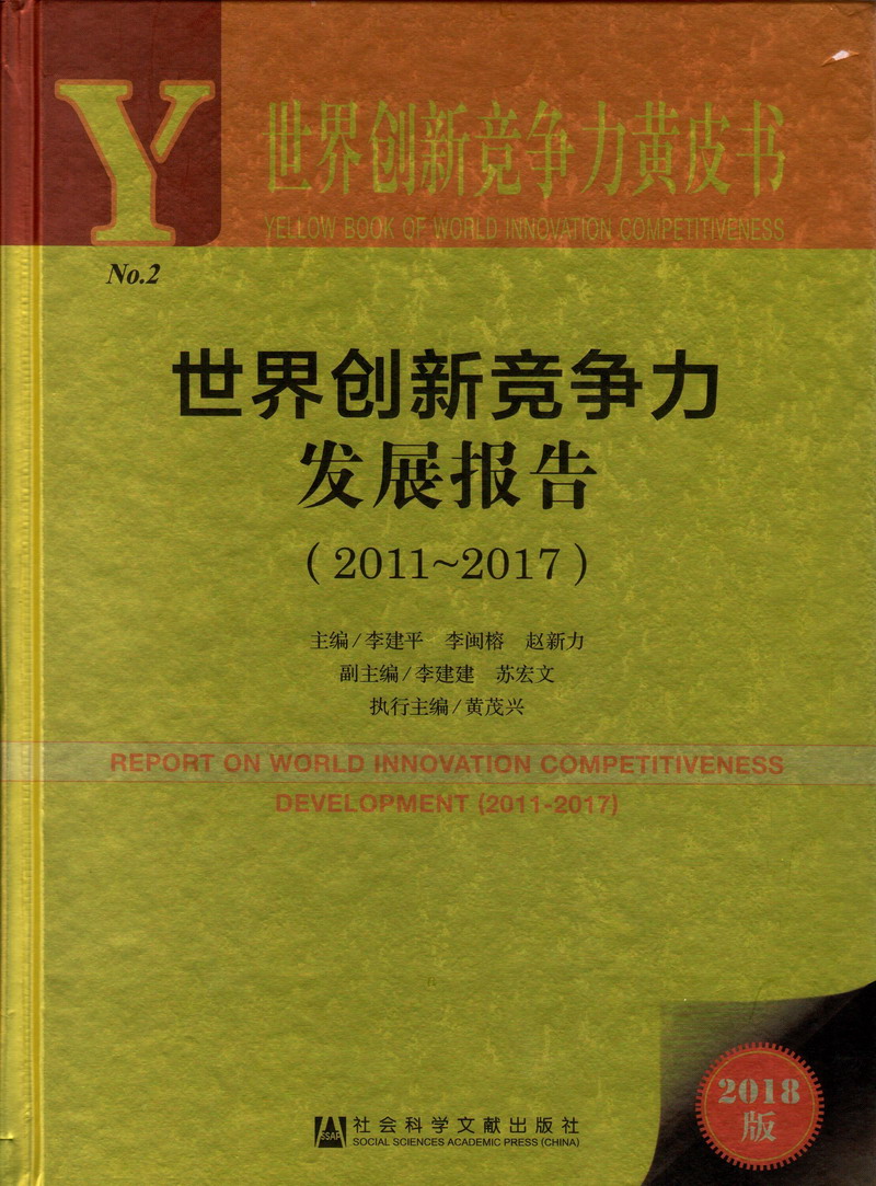 李玉简隋英做哭车世界创新竞争力发展报告（2011-2017）